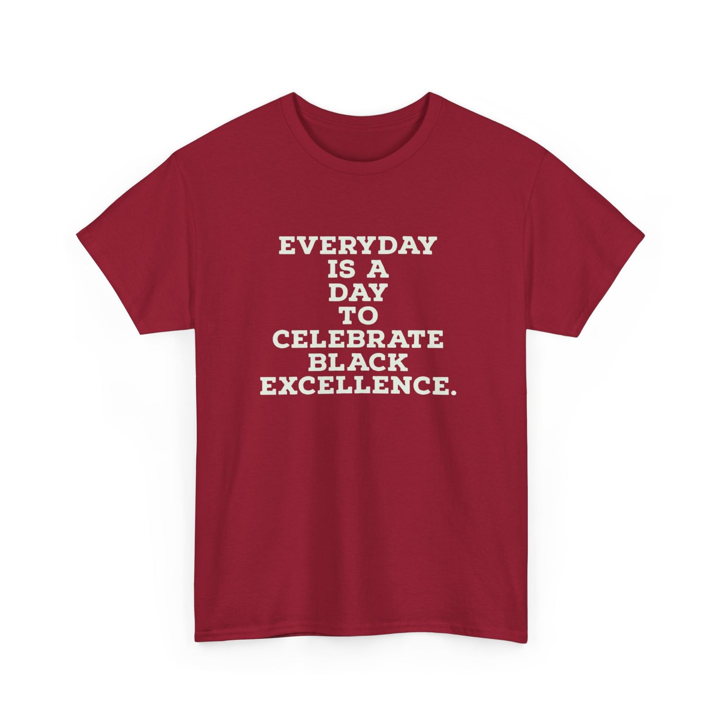 Everyday Is a Day to Celebrate Black Excellence – Statement Tee
